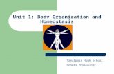 Unit 1: Body Organization and Homeostasis