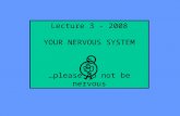 Lecture 3 - 2008 YOUR NERVOUS SYSTEM …please do not be nervous