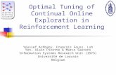 Optimal Tuning of Continual Online Exploration in Reinforcement Learning