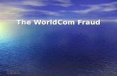 The WorldCom Fraud