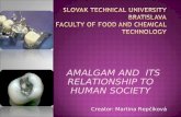 SLOVak TECHNIcal UNIVERsity BRATISLAVa Faculty of food  and  chemical technology