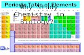 Why Study Chemistry in Biology?