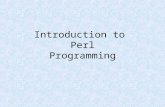 Introduction to  Perl Programming