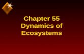 Chapter 55 Dynamics of Ecosystems