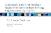 Managerial Theory of Strategic Behavior of Environment Serving Organizations (pp. 43-75)