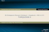 3D (Paritaprevir-Ritonavir-Ombitasvir + Dasabuvir) + RBV in GT1  TURQUOISE-II