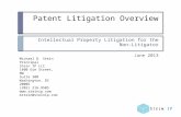 Patent Litigation Overview