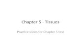 Chapter 5 - Tissues