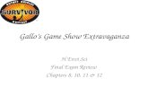 Gallo’s Game Show Extravaganza
