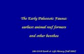 The Early Paleozoic Fauna: earliest animal reef formers and other benthos