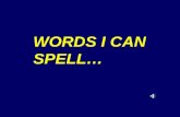 WORDS I CAN SPELL…