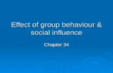 Effect of group behaviour & social influence