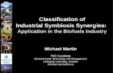 Classification of Industrial Symbiosis Synergies:  Application in the Biofuels Industry