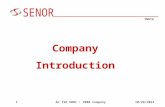 Company   Introduction
