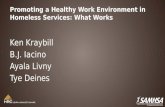 Promoting a Healthy Work Environment in Homeless Services: What Works