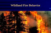 Wildland Fire Behavior