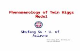 Phenomenology of Twin Higgs Model