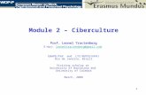 Module 2 – Ciberculture Prof. Leonel Tractenberg E-mai:  leoneltractenberg@gmail