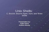 Unix Shells:  C, Bourne, Bourne Again, Korn, and Tenex Shells