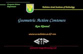 Geometric Active Contours