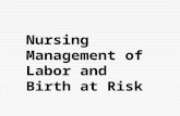 Nursing Management of Labor and Birth at Risk