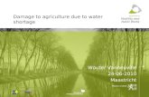 Damage to agriculture due to water shortage