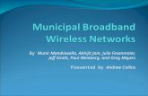 Municipal Broadband Wireless Networks