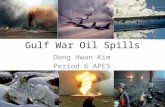 Gulf War Oil Spills