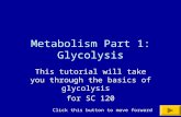 Metabolism Part 2:  Krebs cycle