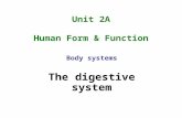 Unit 2A Human Form & Function