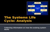 The Systems Life Cycle: Analysis