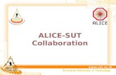 ALICE-SUT Collaboration