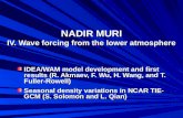NADIR MURI IV. Wave forcing from the lower atmosphere