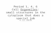 Period 1, 4, 6 Cell  Organelles : small structures in the cytoplasm that does a special job