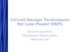 Circuit Design Techniques for Low Power DSPs