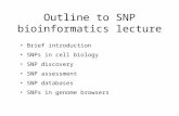 Outline to SNP bioinformatics lecture