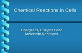 Chemical Reactions in Cells