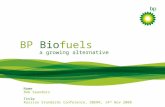 BP  Bio fuels