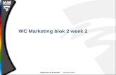 WC Marketing blok 2 week 2