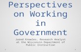 Perspectives on Working in Government