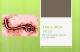The Ebola Virus