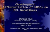 Chondrogenic Differentiation of hMSCs on PCL Nanofibers
