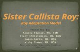 Sister Callista Roy: Roy Adaptation  Model