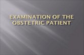 Examination of the obstetric patient