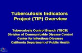 Tuberculosis Indicators  Project (TIP) Overview