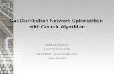 Gas Distribution Network Optimization  with Genetic Algorithm