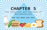 CHAPTER 5 The Structure and Function of Macromolecules