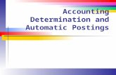 Accounting Determination and Automatic Postings