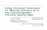 Using Pictorial Structures to Identify Proteins in X-ray Crystallographic Electron Density Maps