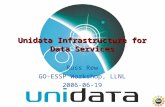 Unidata Infrastructure for Data Services